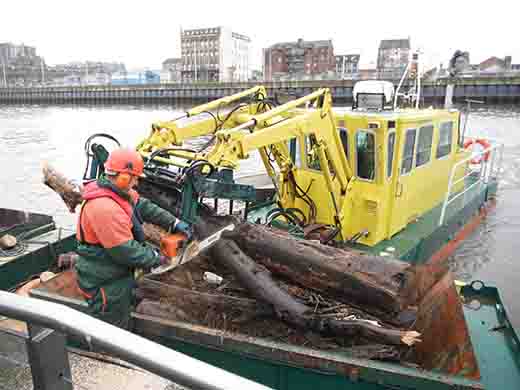 Embarcación para trabajos pesados con un tronco en la garra que esta siendo cortado con la motosierra Glasgow